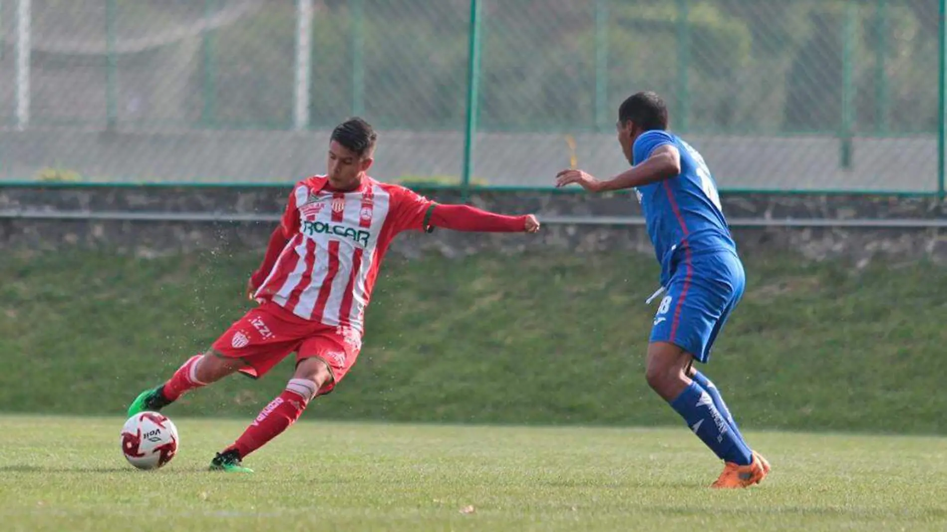 necaxa vs cruz azul fuerzas basicas